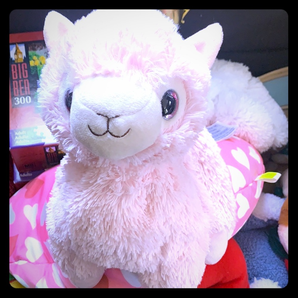 Heavy weighted llama